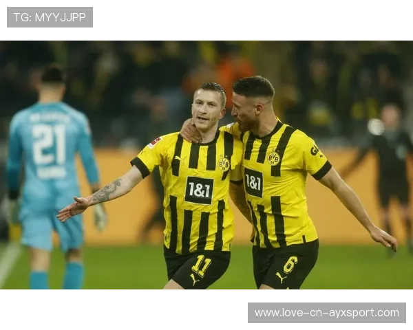 多特蒙德中卫列为引援重点